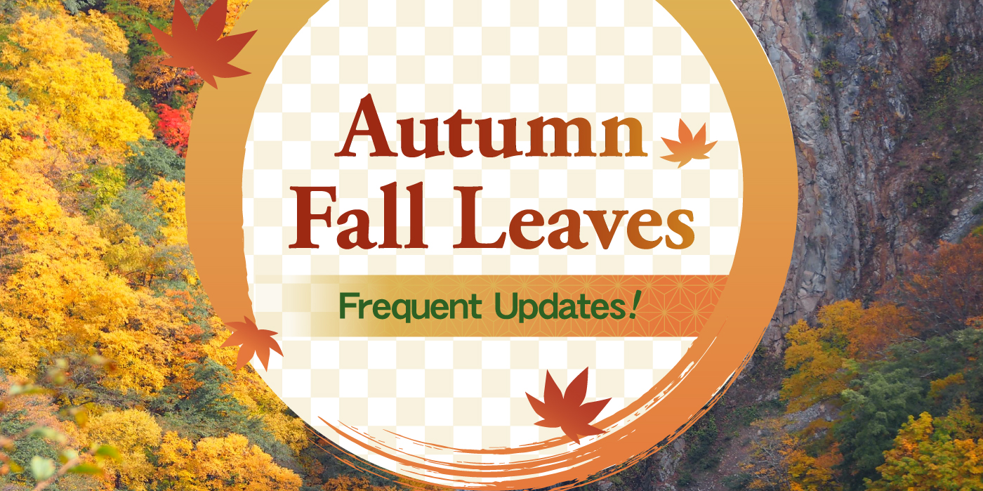 Autumn Foliage