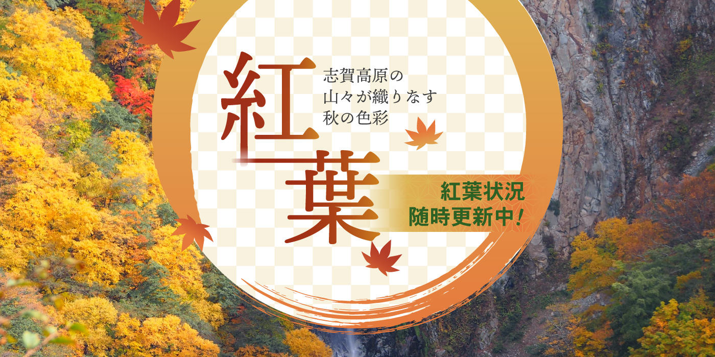 紅葉状況随時更新中！紅葉情報はこちら
