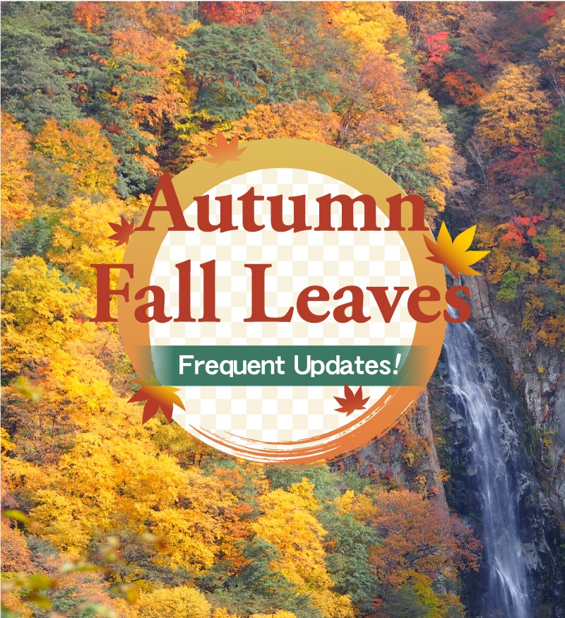 Autumn Foliage