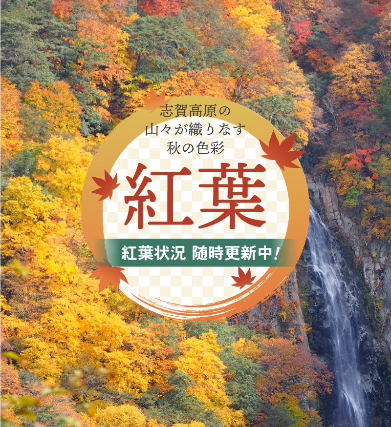 紅葉状況随時更新中！紅葉情報はこちら
