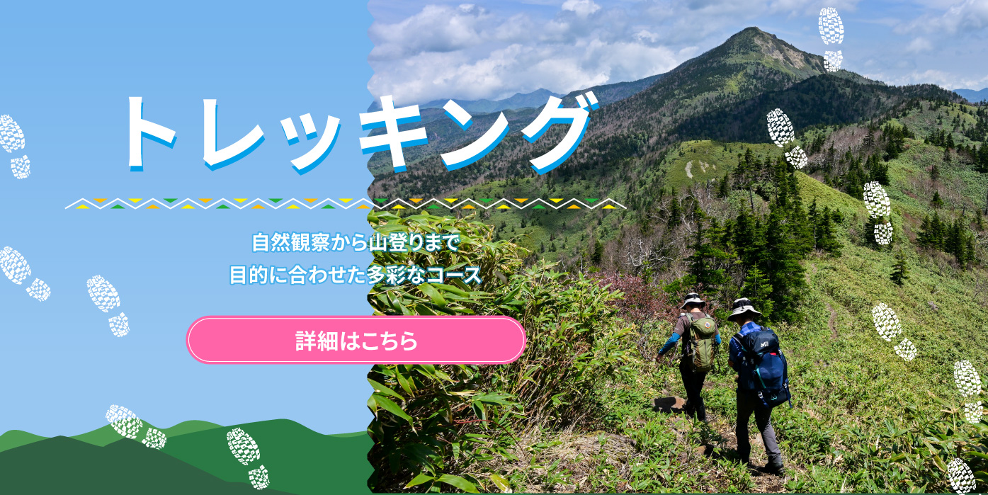 トレッキング