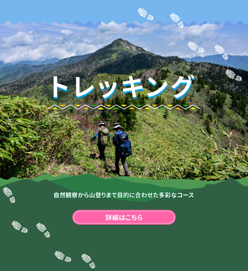 トレッキング