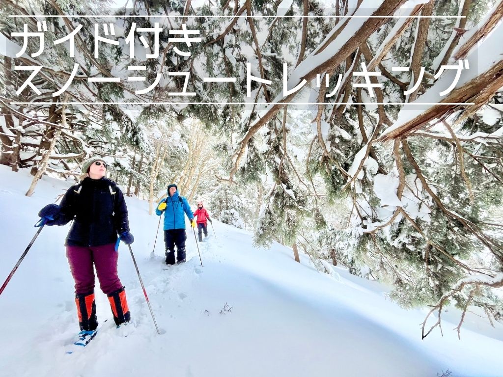 ガイド付きスノーシュープログラム