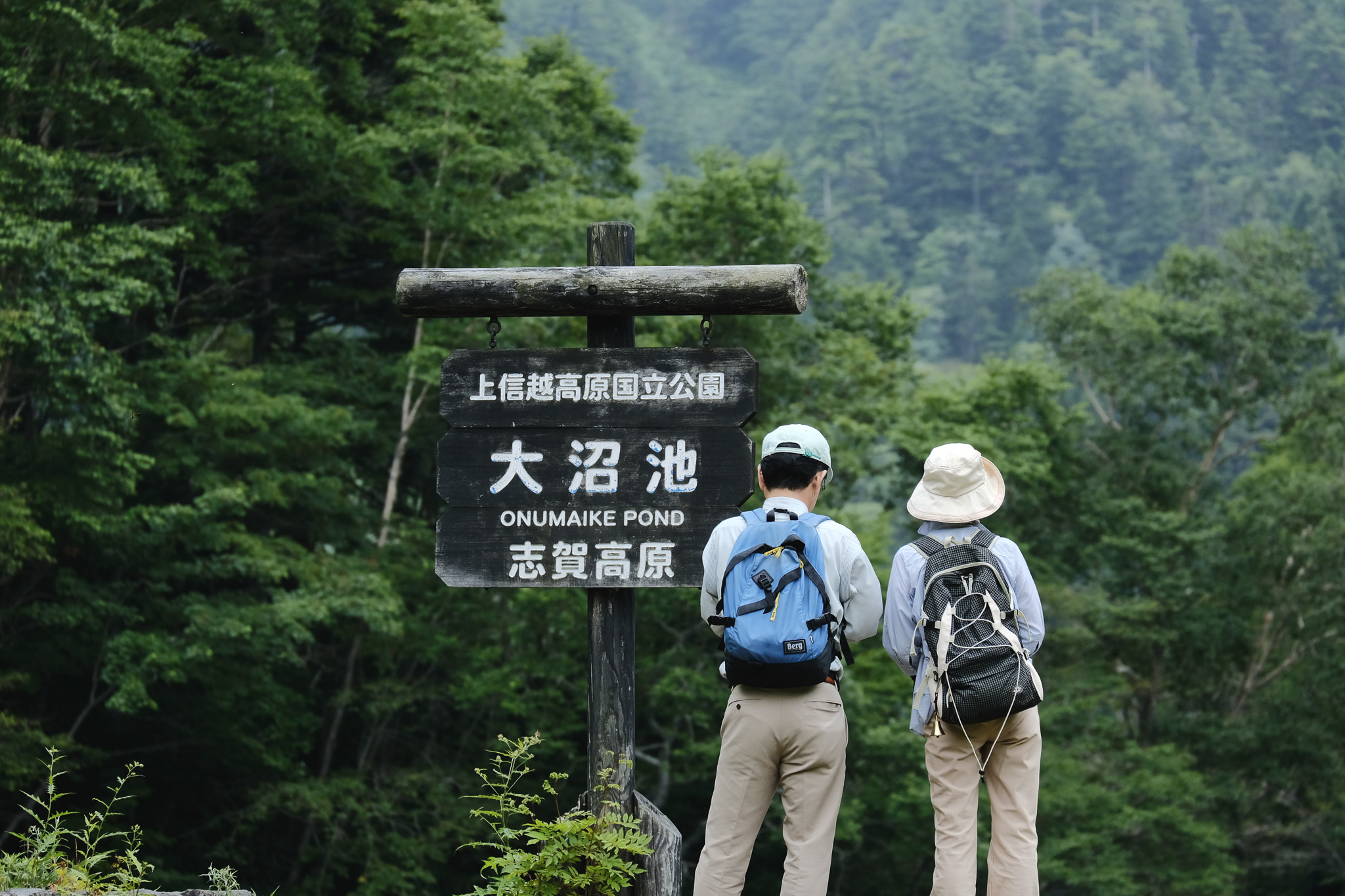 Most popular trail in Shiga Kogen