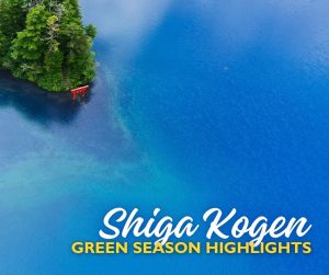 Shiga Kogen Green Season Highlights