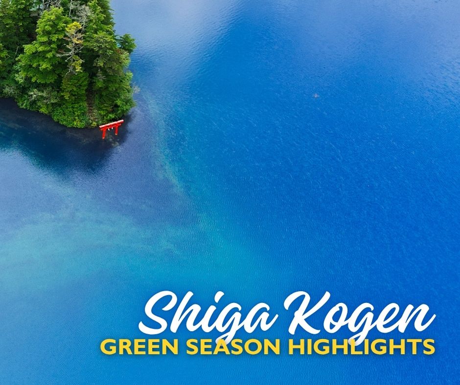 Shiga Kogen Green Season Highlights