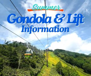 Summer Gondola and Lift Information