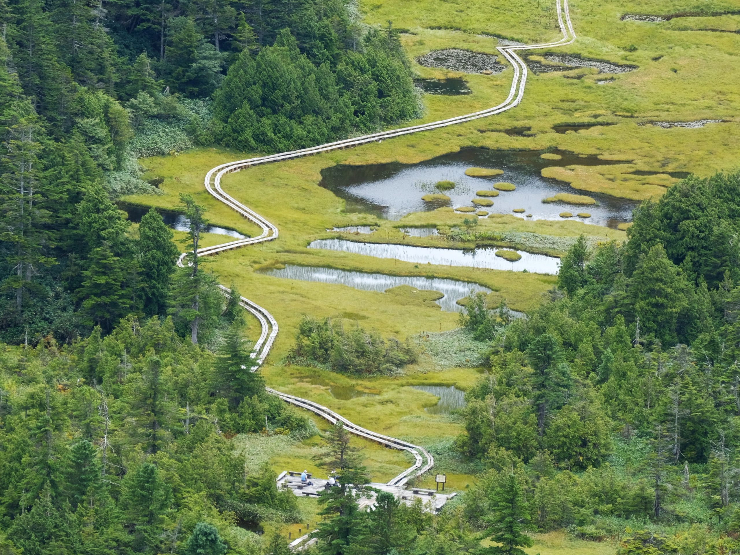 Mt. Shiga Trail