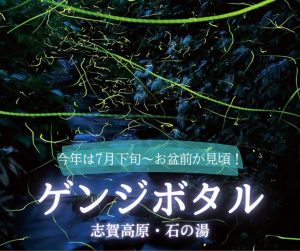 志賀高原 石の湯ゲンジボタルについて